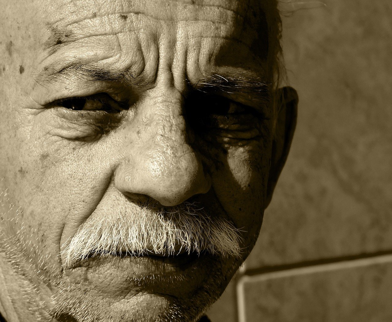 man, senior, portrait-53899.jpg